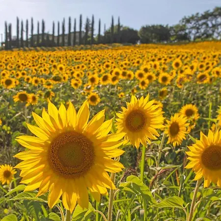 Cozy In With Kitchen *