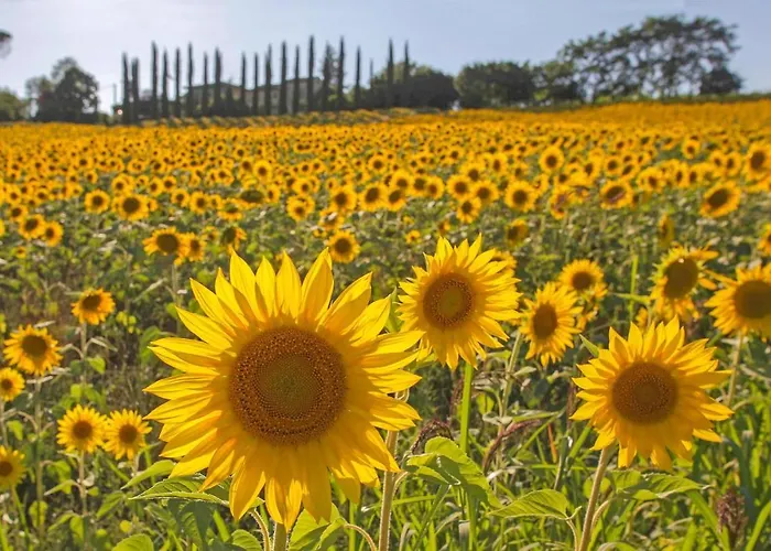 Cozy In With Kitchen *